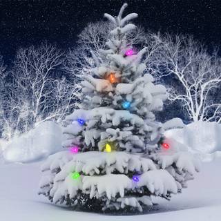Xmas winter wallpaper