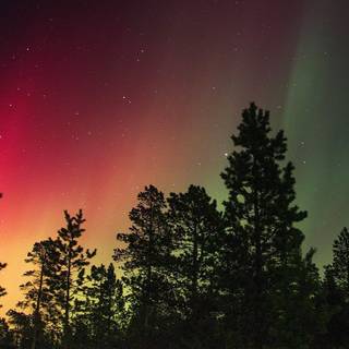 Christmas iPhone 4k wallpaper