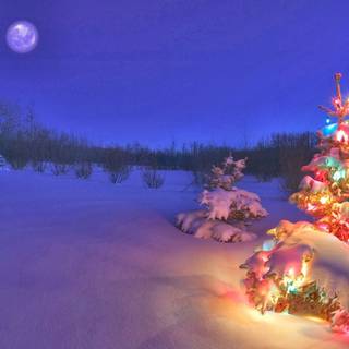 Winter Christmas scene wallpaper