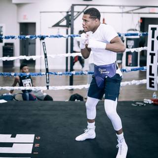 Devin Haney wallpaper