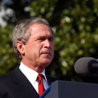 George Bush wallpaper