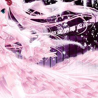 Anime pink picture wallpaper