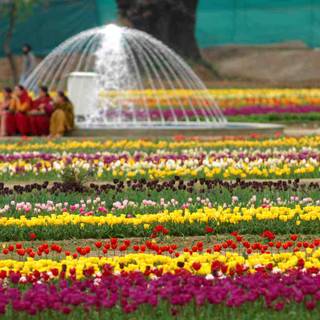 Mughal Gardens wallpaper
