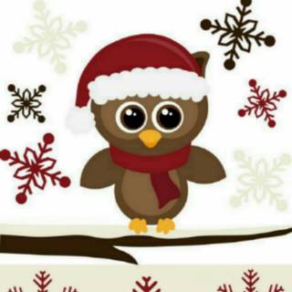 Christmas owl wallpaper
