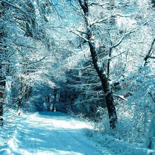 Winter season wallpaper