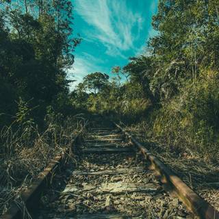 UHD Android wallpaper