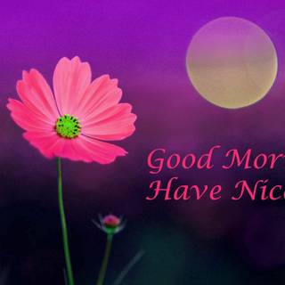 Good morning flowers wallpaper