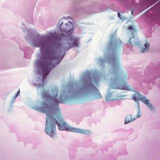 Unicorn sloth wallpaper