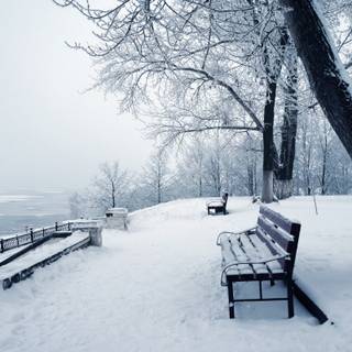 Winter relax wallpaper