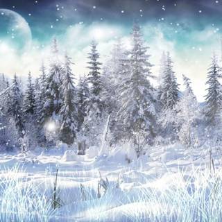 Winter relax wallpaper