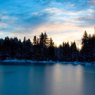 Winter relax wallpaper