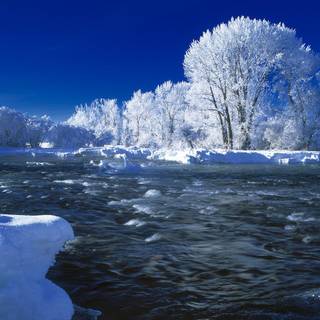 Winter relax wallpaper