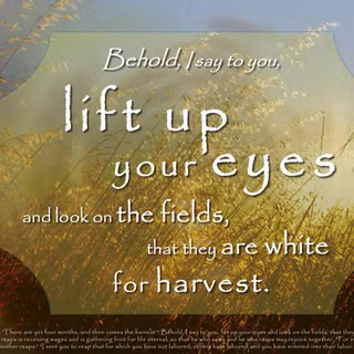 Christmas biblical verses wallpaper