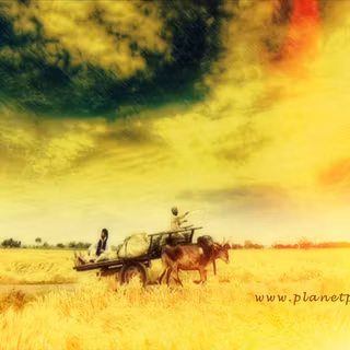 Village couples wallpaper