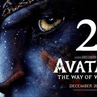 Avatar 2 The Way of Water wallpaper