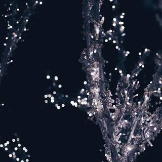 Christmas iPhone XS Max wallpaper