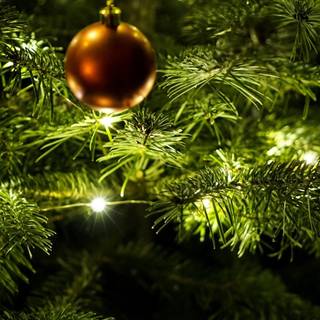 1080x1920 New Year wallpaper