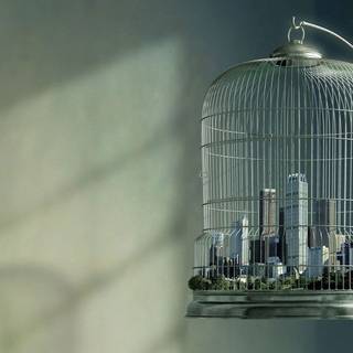 Bird cage wallpaper