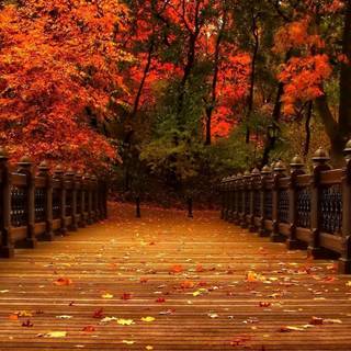 Autumn seasons wallpaper