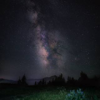 Oled stars wallpaper