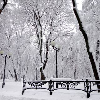 Outdoor winter wallpaper