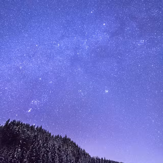 Winter for mobile wallpaper