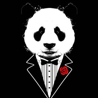 Panda DJ wallpaper