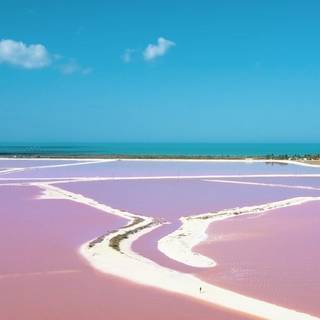 Lake Hillier wallpaper