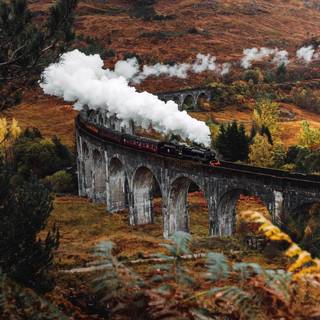 Autumn trains wallpaper