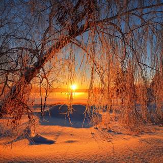 Good morning winter wallpaper