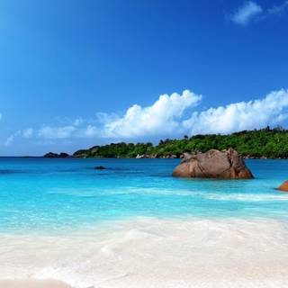Praslin wallpaper