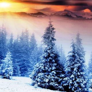 Pretty winter sunrise wallpaper