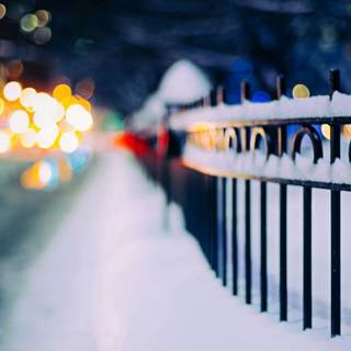 Fence winter wallpaper