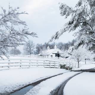 Fence winter wallpaper