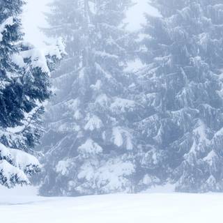 Ultra wide winter wallpaper