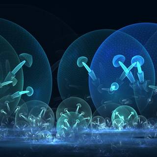 Magic mushrooms wallpaper