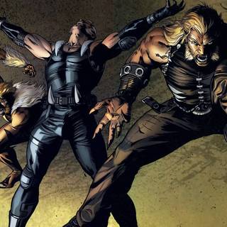 X-Men Sabretooth wallpaper