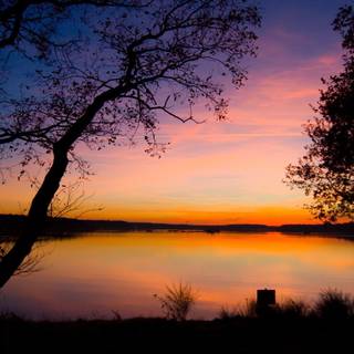 Morning view wallpaper