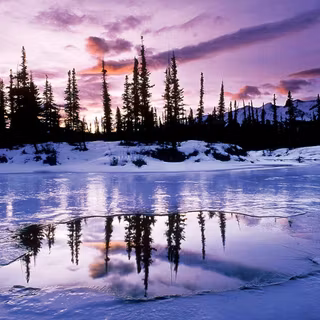 Prettiest winter wallpaper