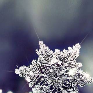 Prettiest winter wallpaper