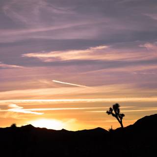 Desert sunset wallpaper