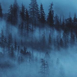 Forest vintage phone wallpaper