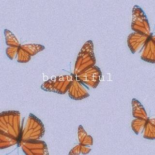Tumblr butterfly wallpaper