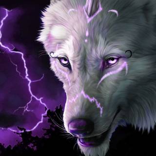Magic wolf wallpaper