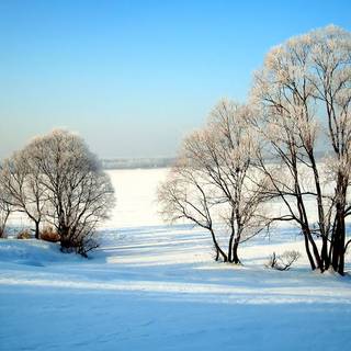 Calm winter wallpaper