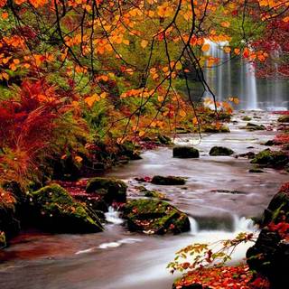 Autumn sceneries wallpaper