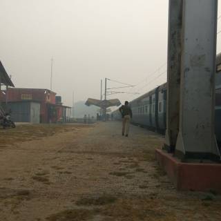 Winter India wallpaper