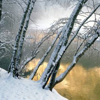 Winter India wallpaper