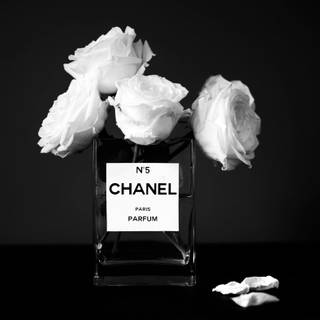 Chanel perfume wallpaper