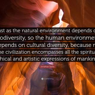 Biodiversity wallpaper